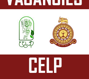 Vacancies at CELP